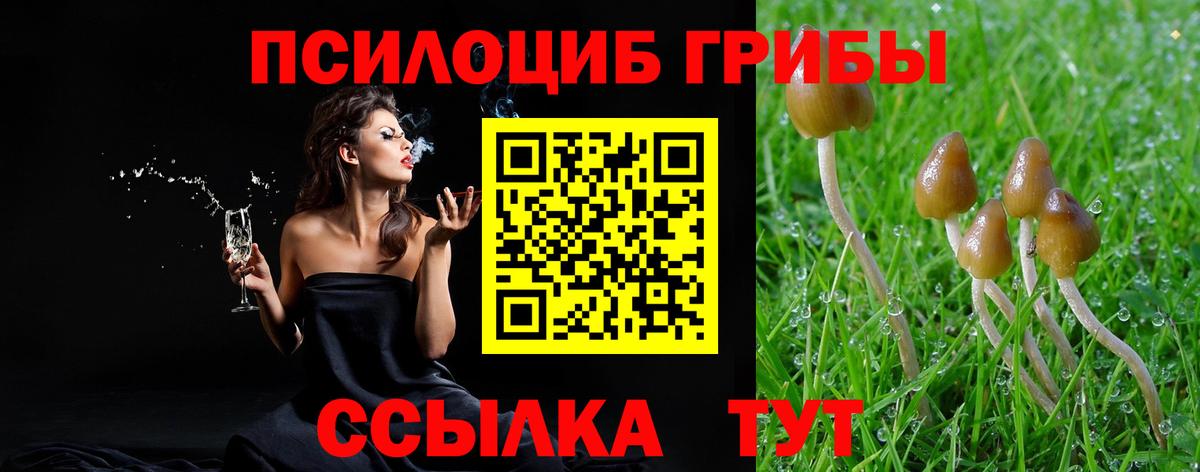 Псилоцибиновые грибы MAGIC MUSHROOMS Великий Устюг