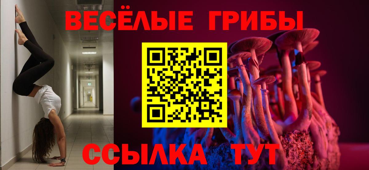 Великий Устюг  Псилоцибиновые грибы Psilocybe  Вход с VPN 